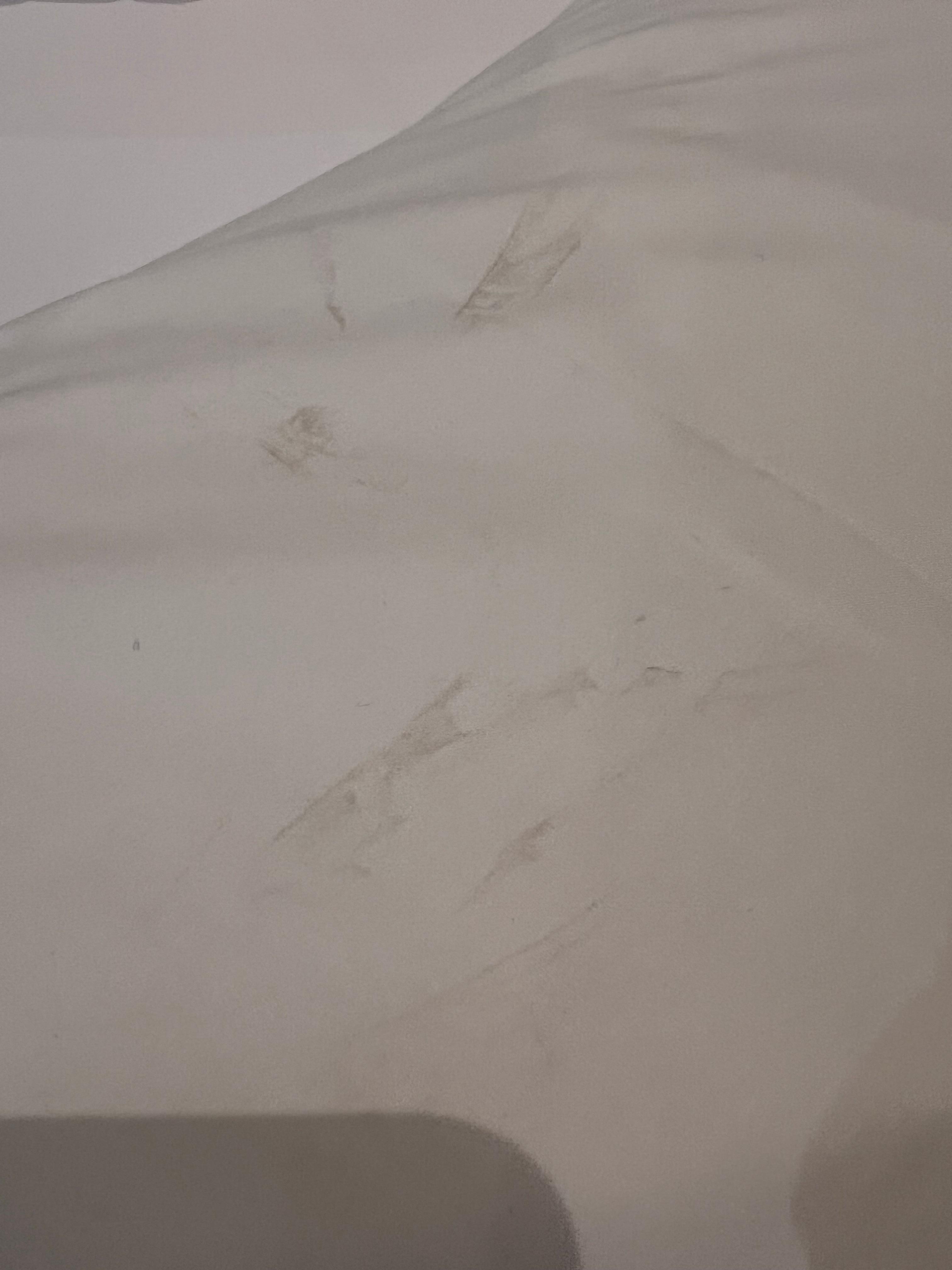 Marks on the pillow on the night I checked in when the room was supposed to have been cleaned 