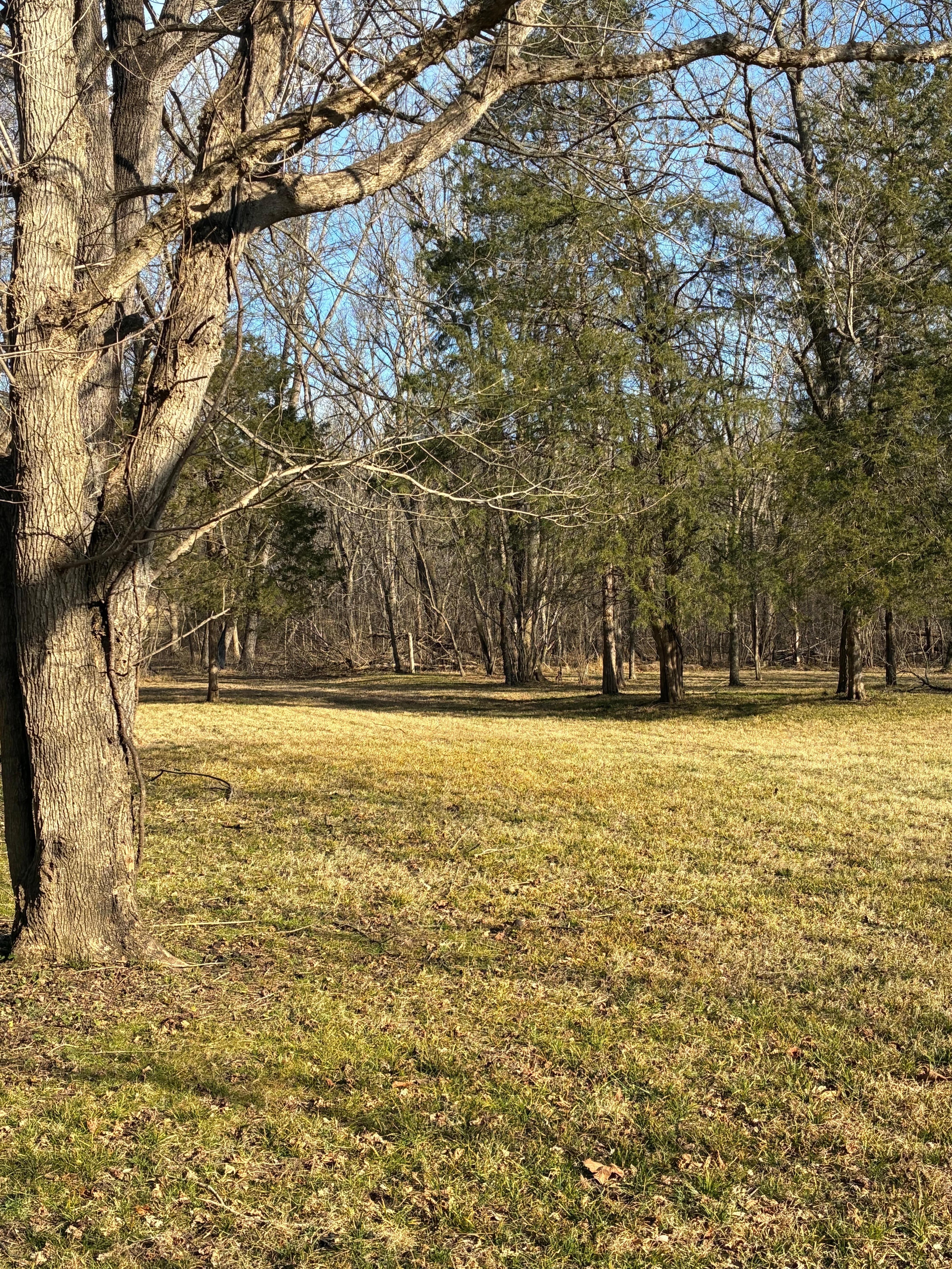 Lots of space to roam, picnic, etc. 