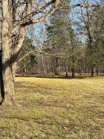 Lots of space to roam, picnic, etc.