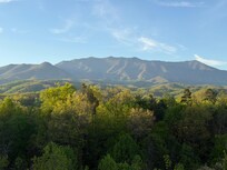 Straight out from the deck!
