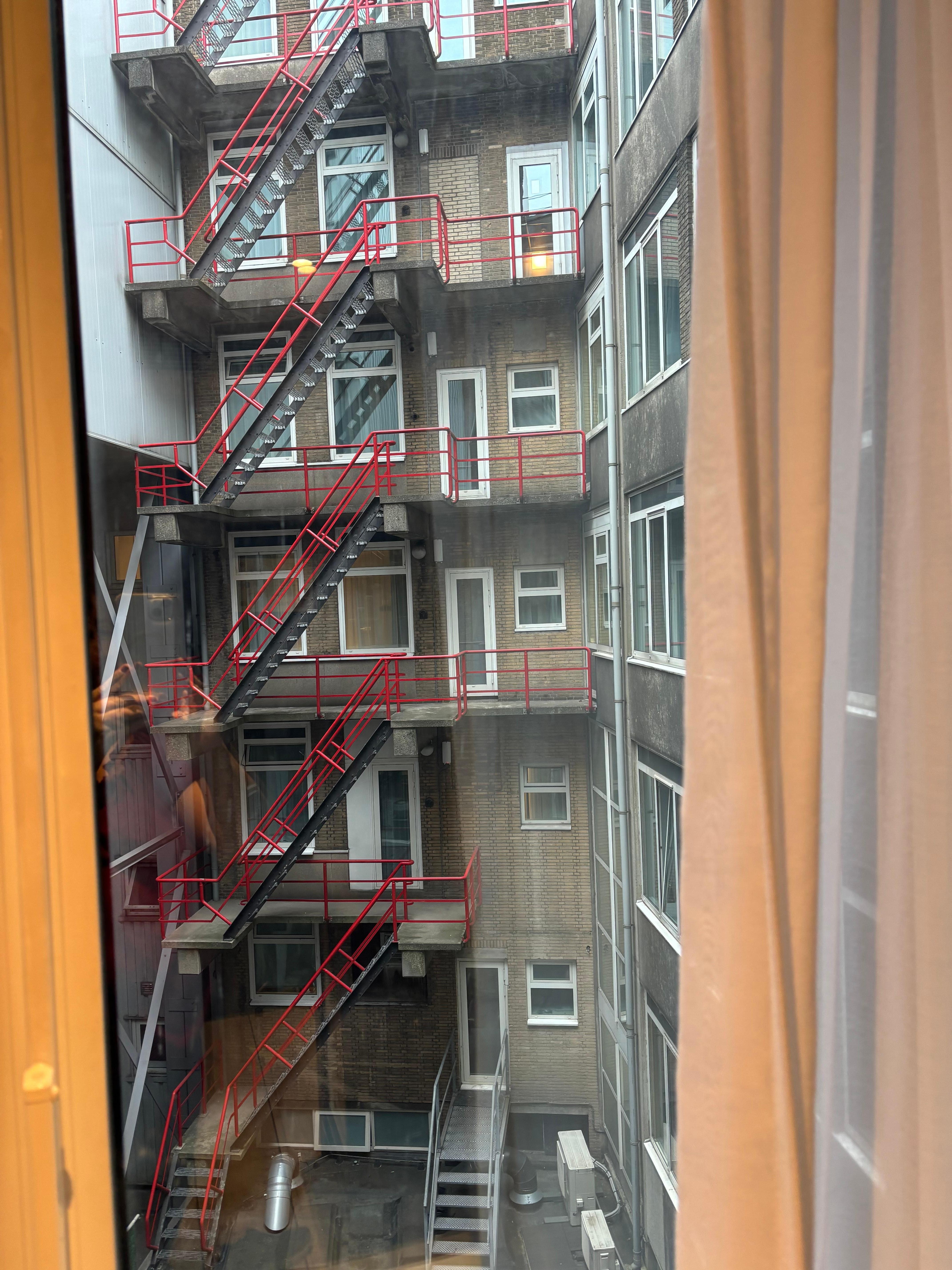 “View” from room 