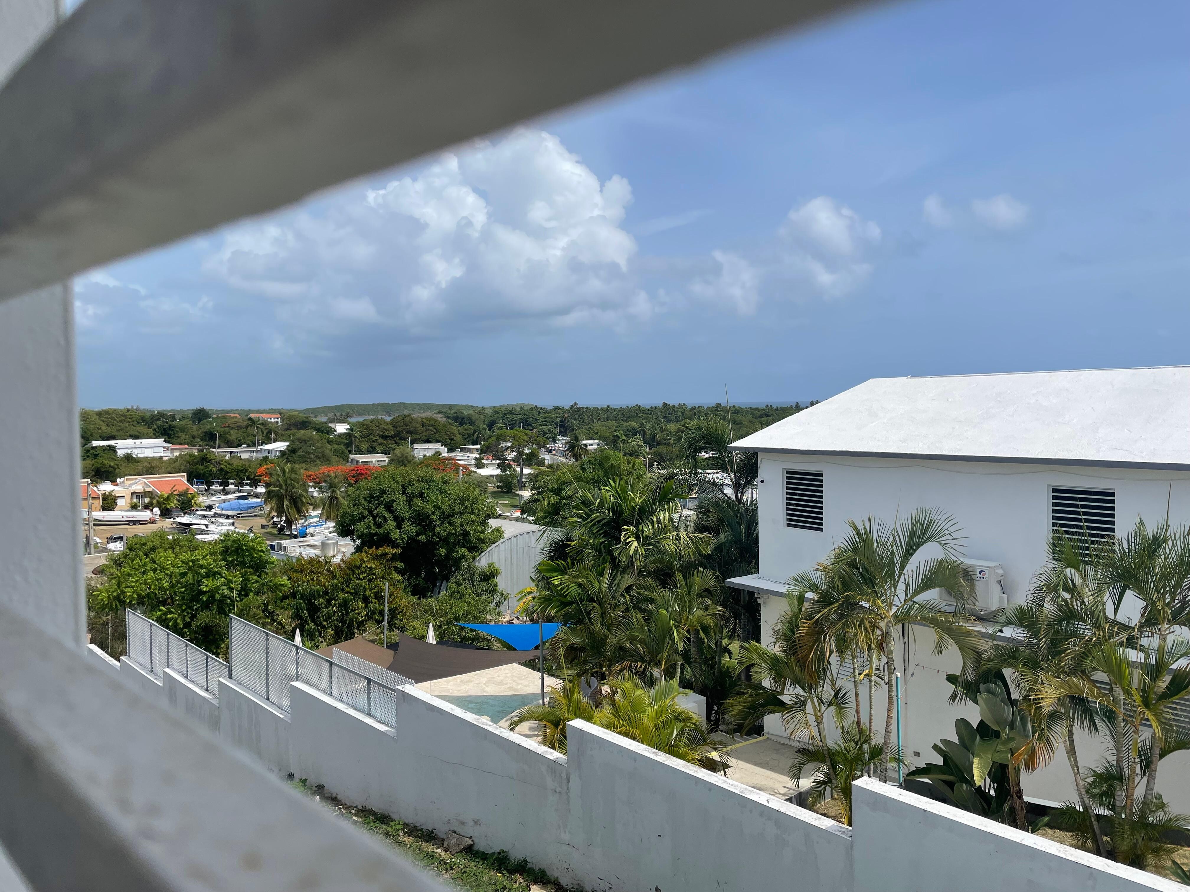 View from the porch