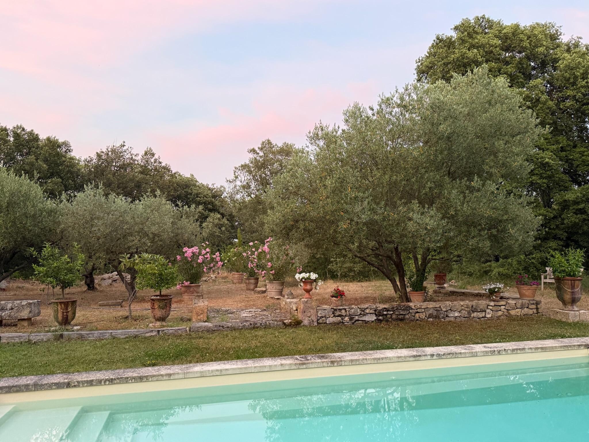 Beautiful sunsets among the flowers and trees from poolside.