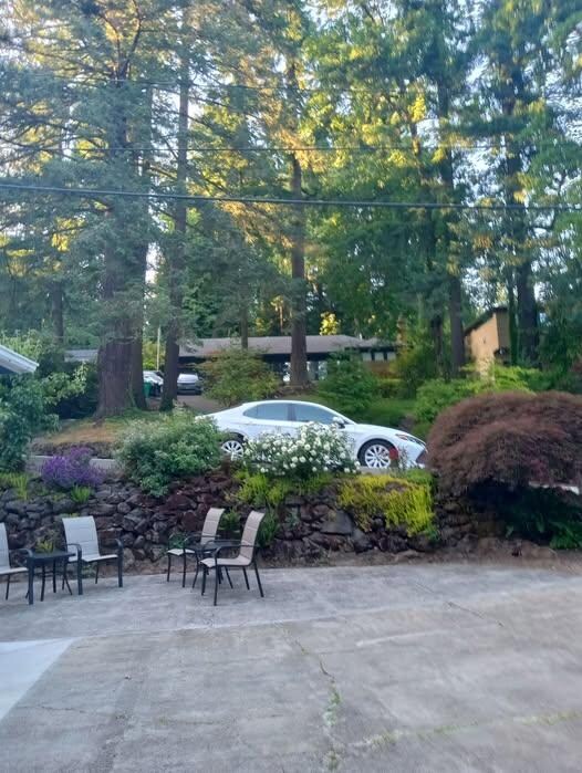 View from the front door