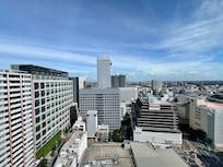 View from the 19th floor.