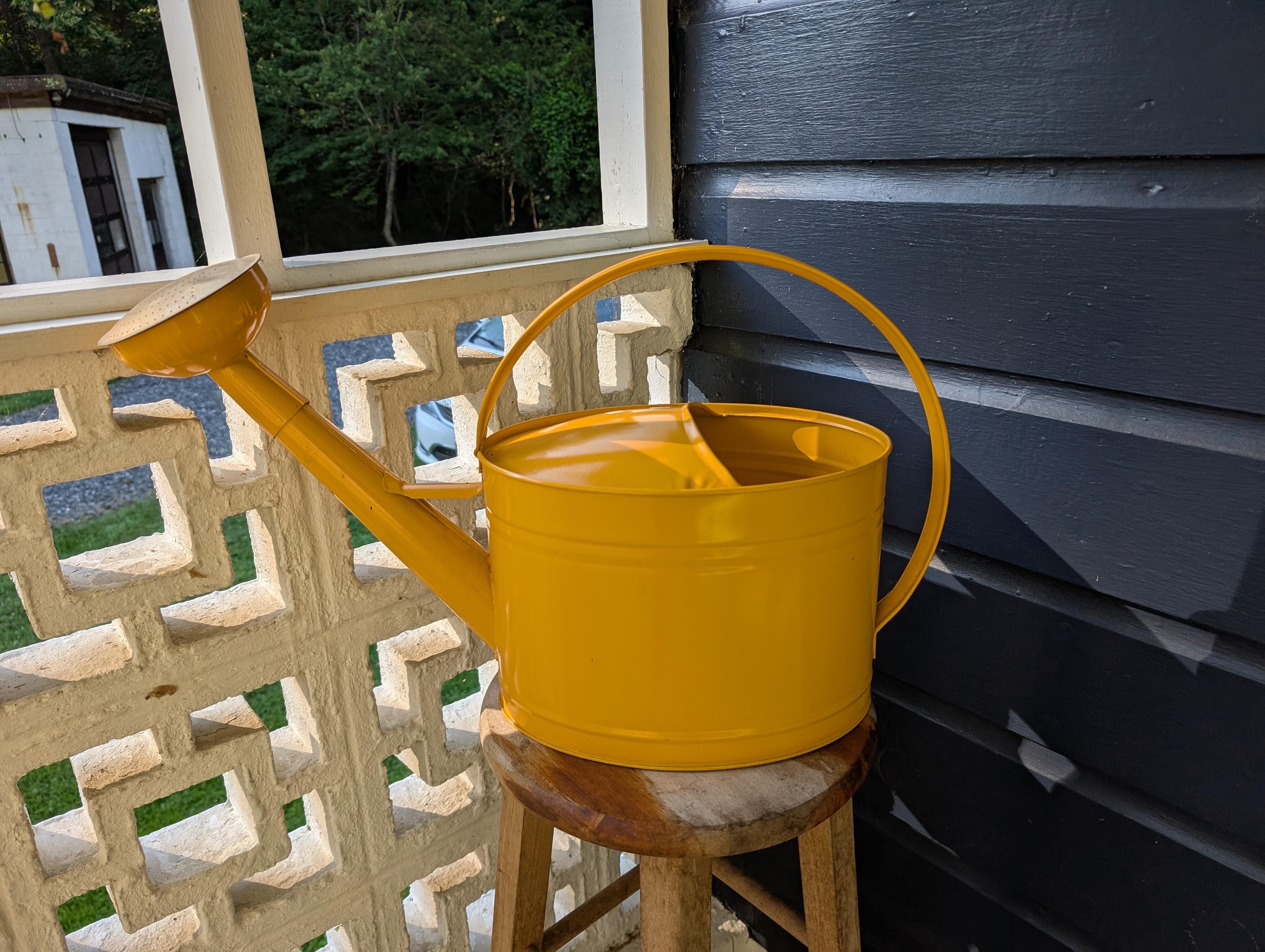 Real plants indoors and out & high contrast watering can!