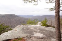 Welch's point is a short drive. Great view!