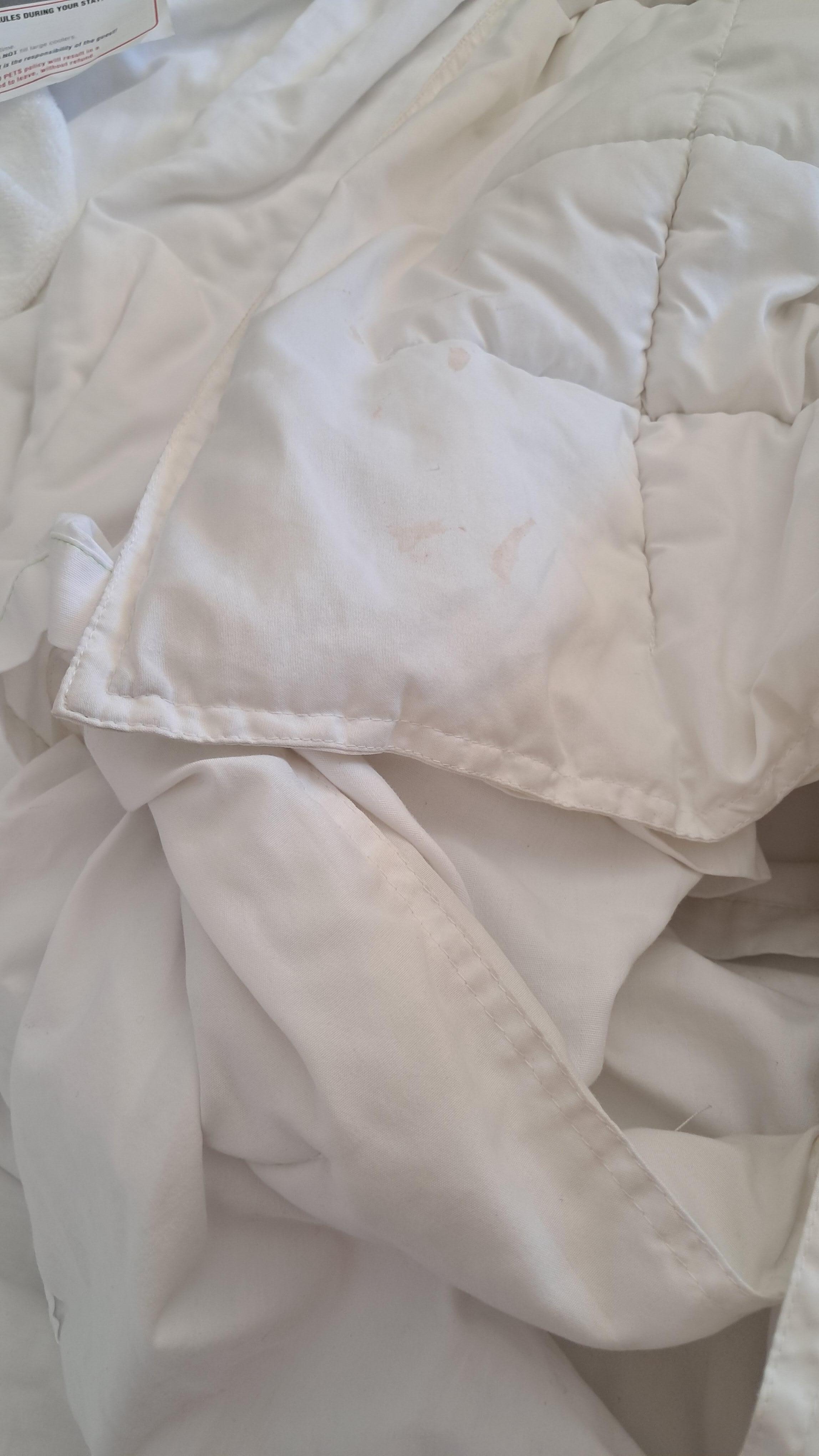 The comforter was stained but otherwise the sheets were clean and smelled good. 