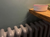 Cobwebs suggest lack of basic cleaning