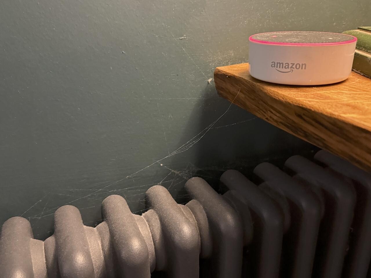 Cobwebs suggest lack of basic cleaning