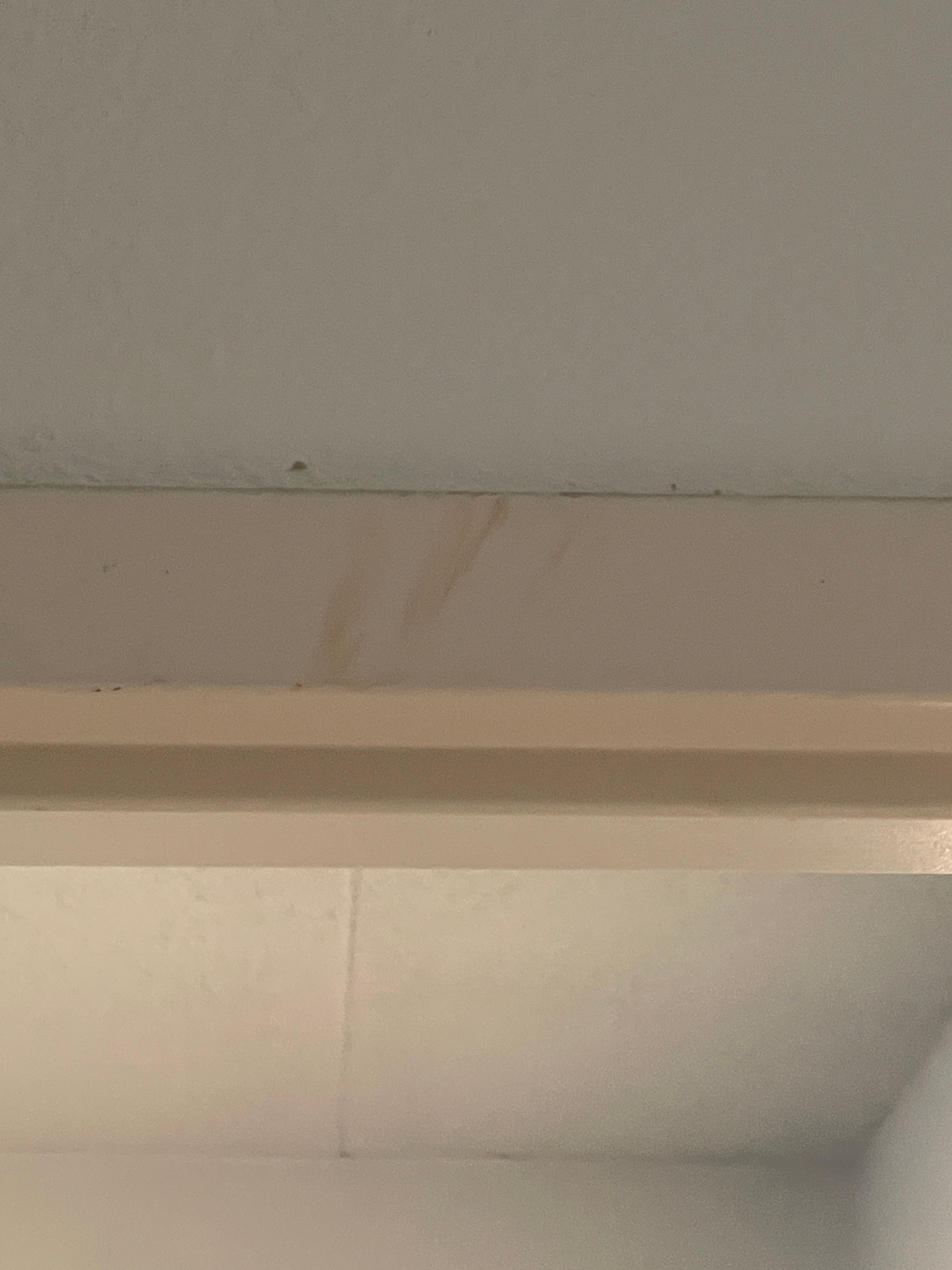 Bloody hand print over door frame