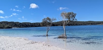 Lake Mackenzie