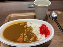 宿泊者へ無料提供のカレーでした(^^)