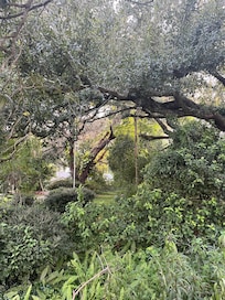 A magical spot on my walk