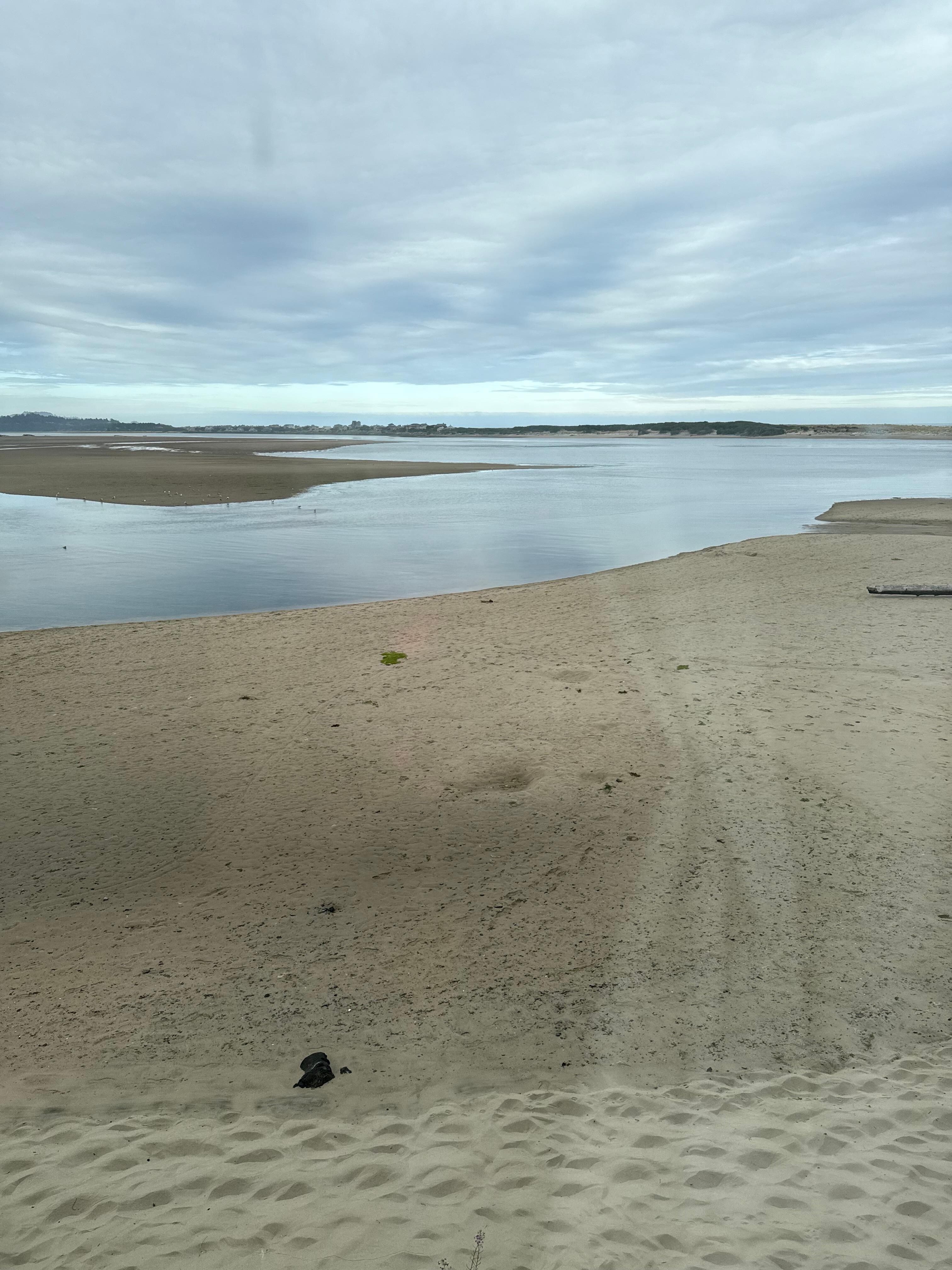 View from room at low tide 