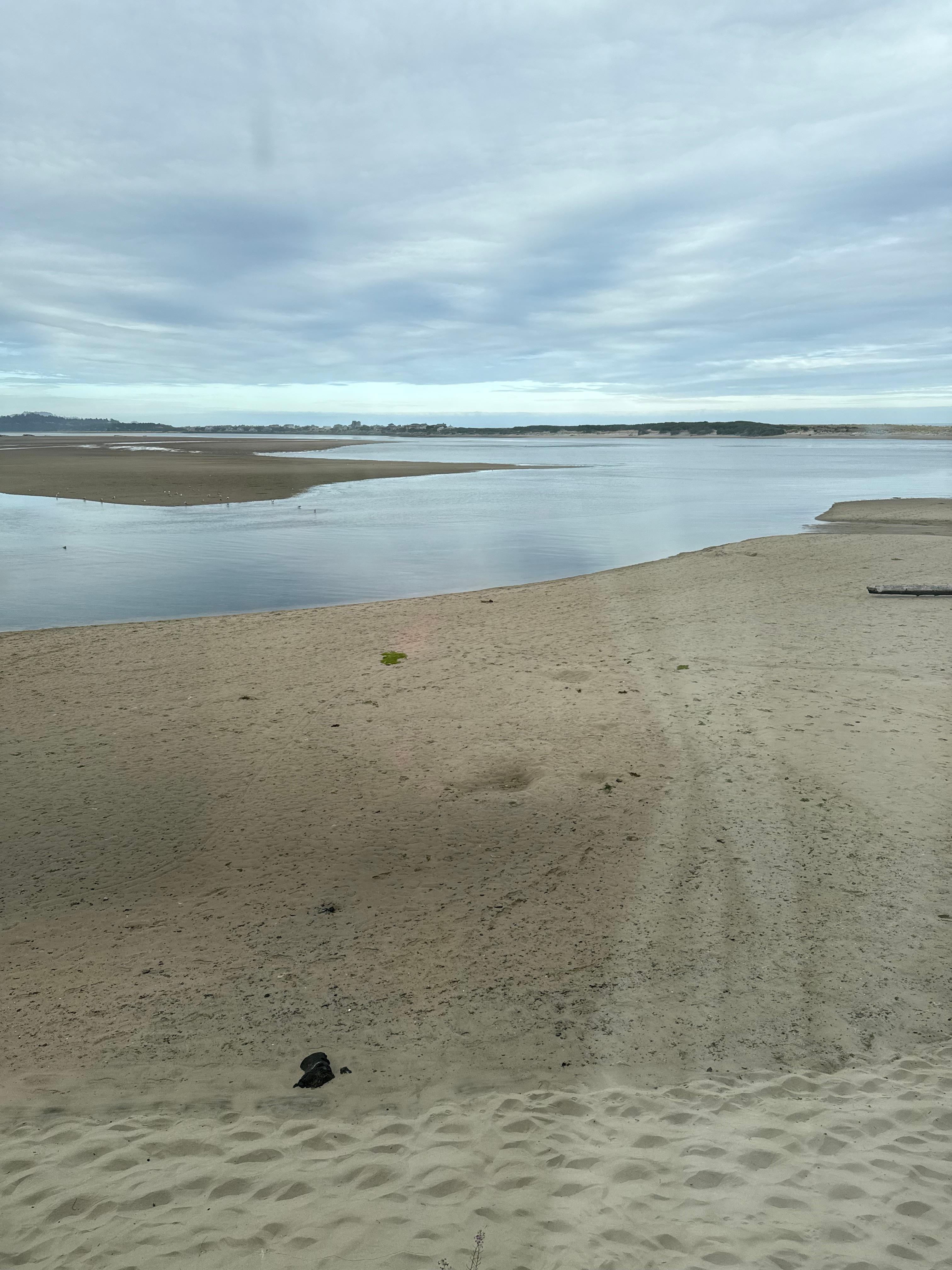 View from room at low tide