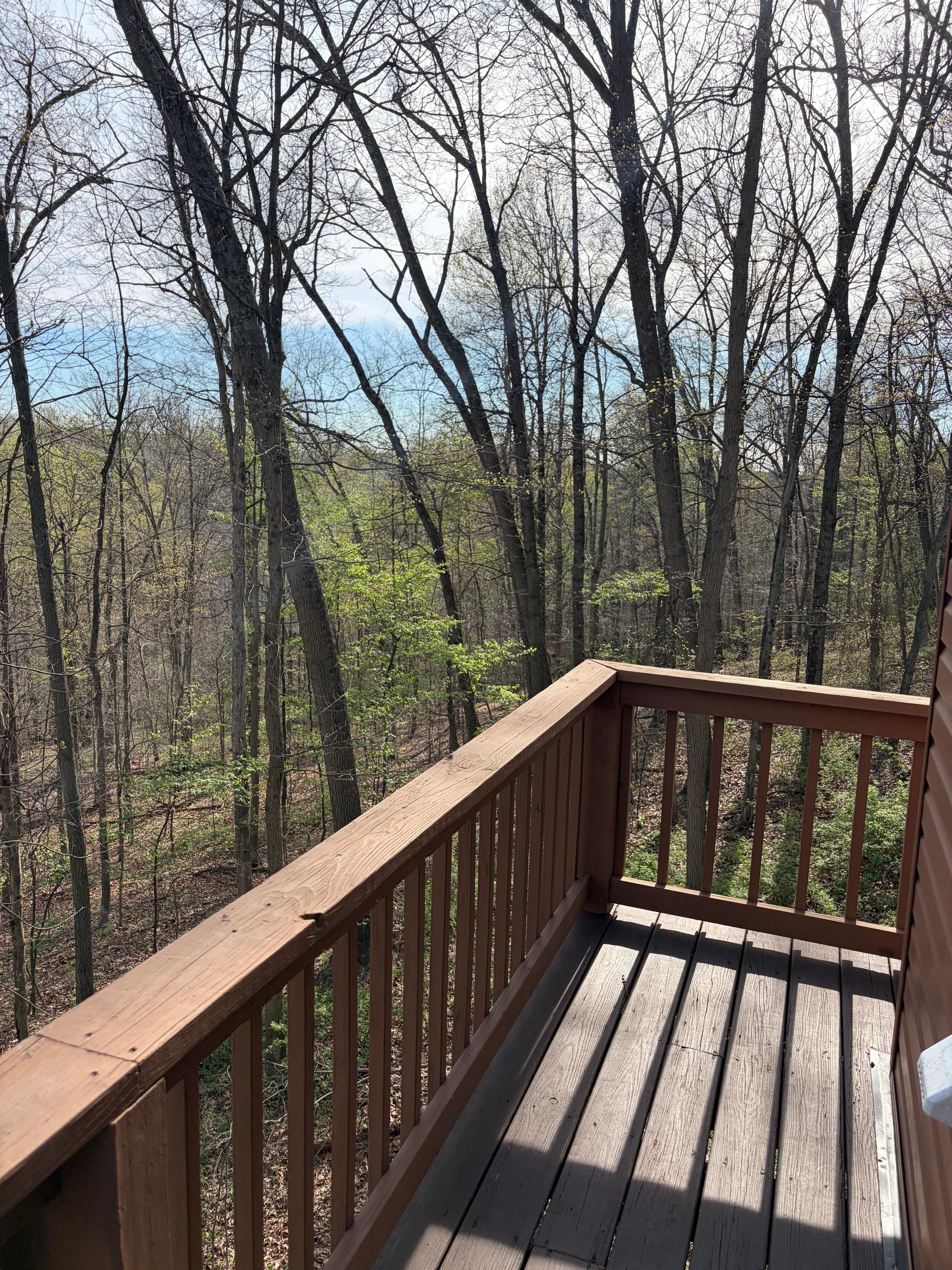 View from back deck 