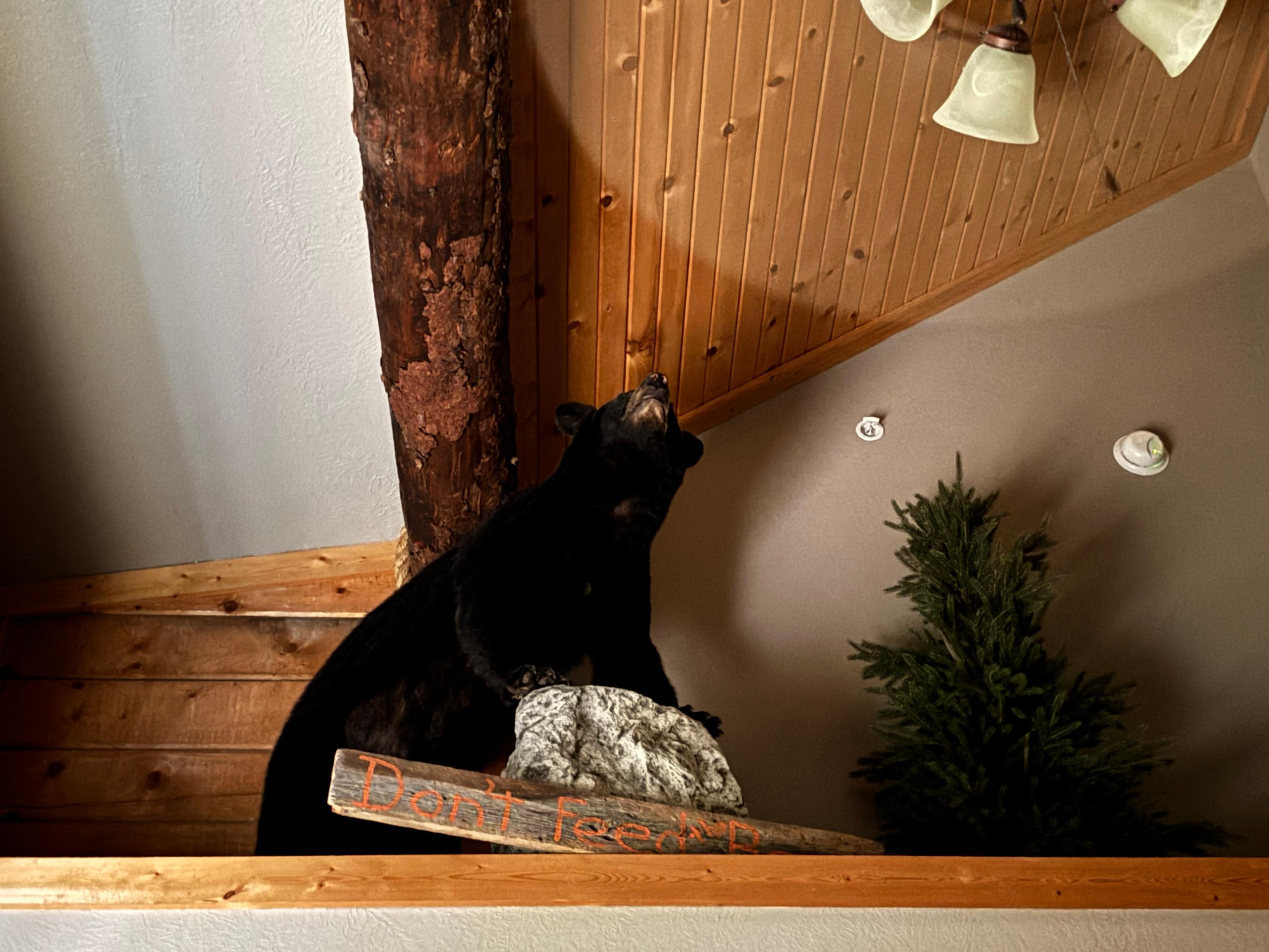 Bear overlooking the main floor bed in bedroom 
