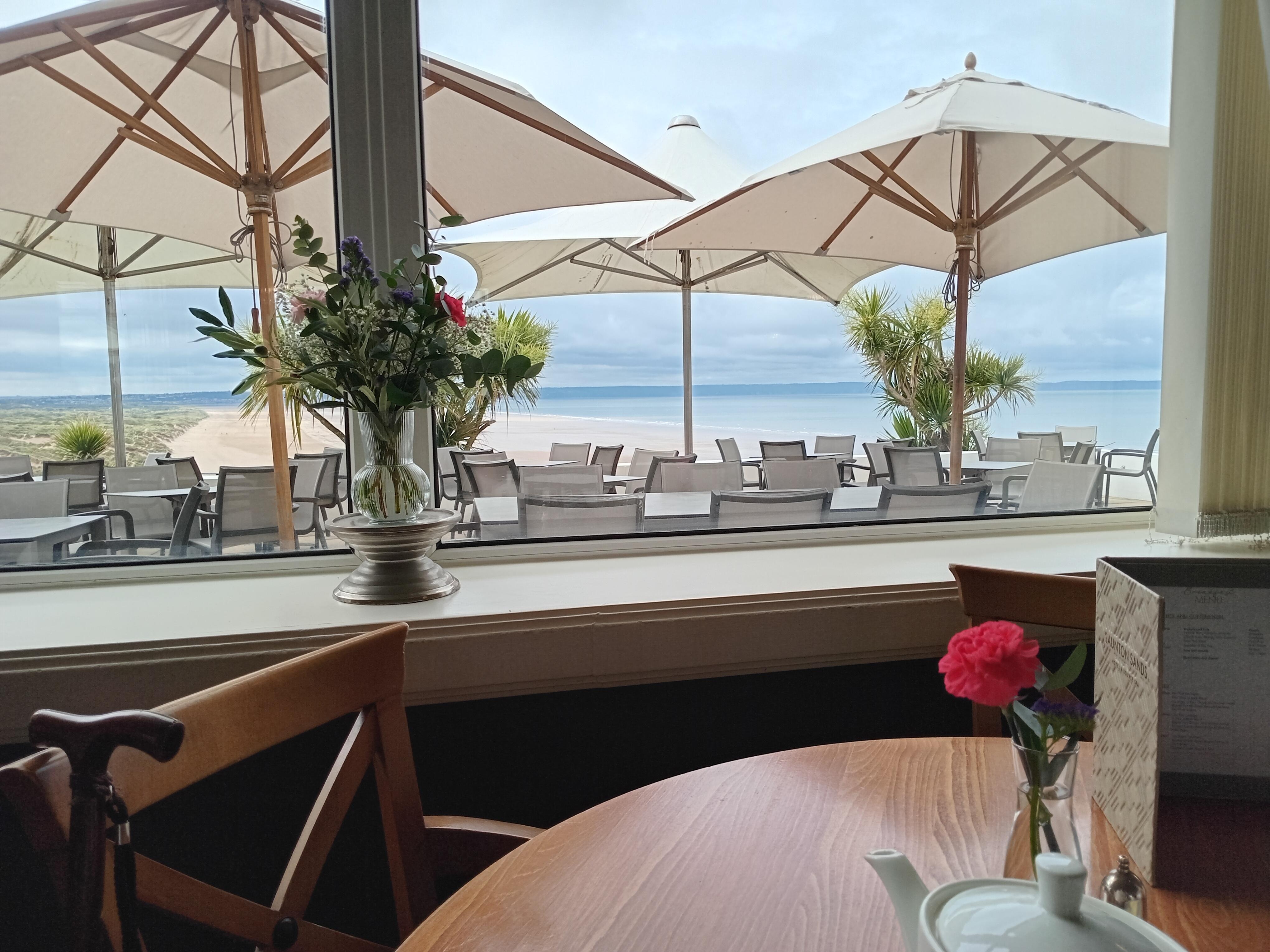 View from dinning table.