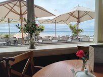 View from dinning table.