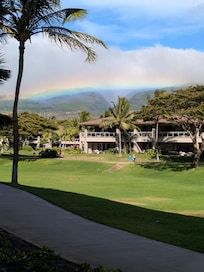 Catching a rainbow from the lanai
