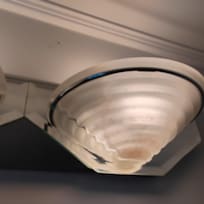Light fixture covered with flies and cobweb