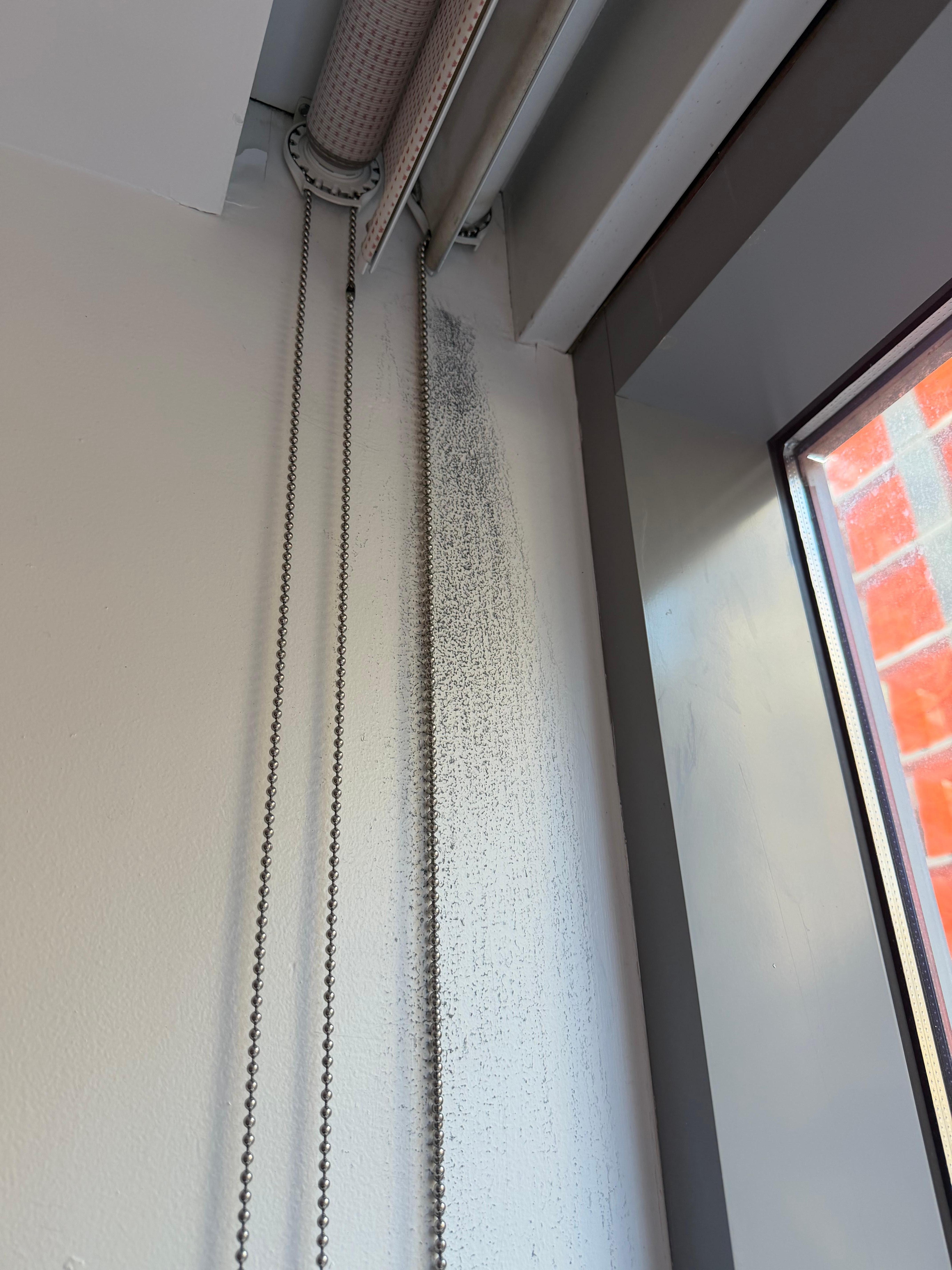Mold/Mildew near window