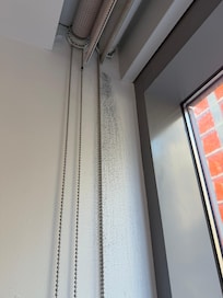 Mold/Mildew near window