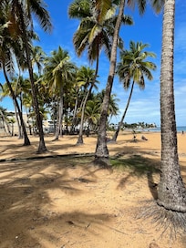 Hanging out in the shade at the beach.