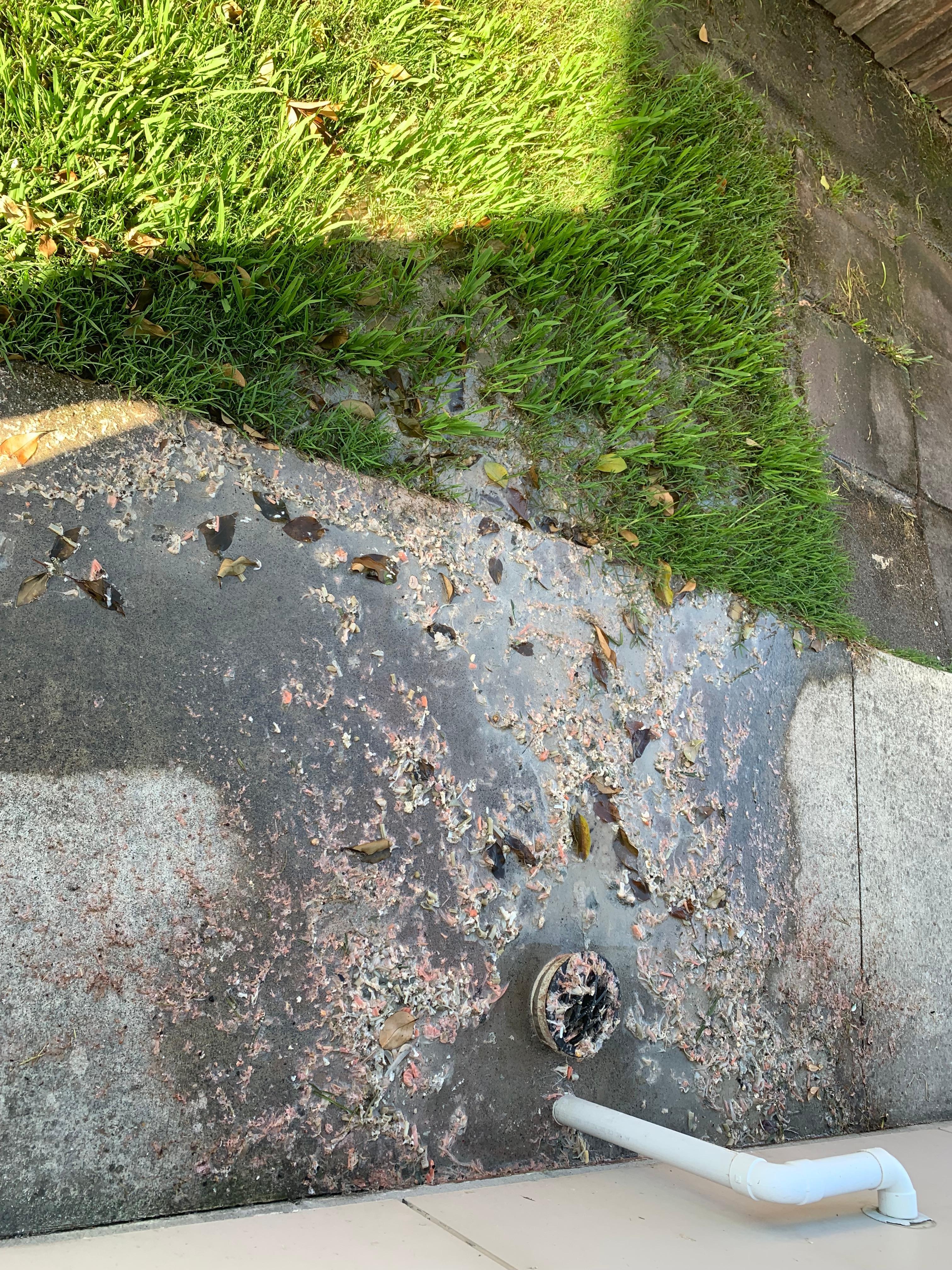 Dishwasher drab food debris out on back lawn are near non functioning hot tub. 