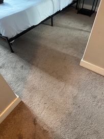 Dirty stained carpet