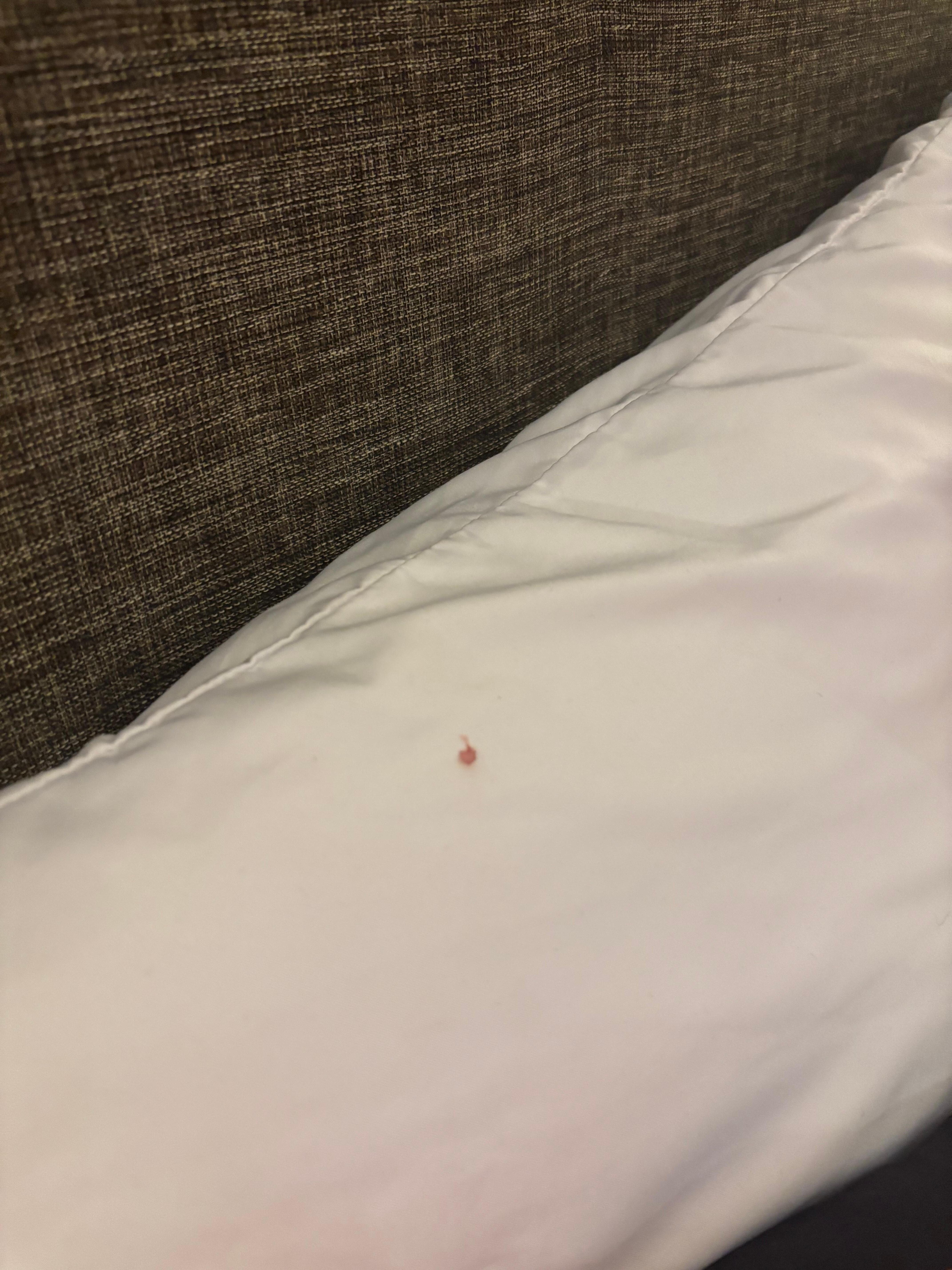 Almohada manchada de sangre 