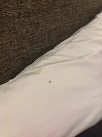 Almohada manchada de sangre