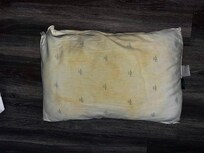This pillow was typical of all of the pillows and needs to be burned.