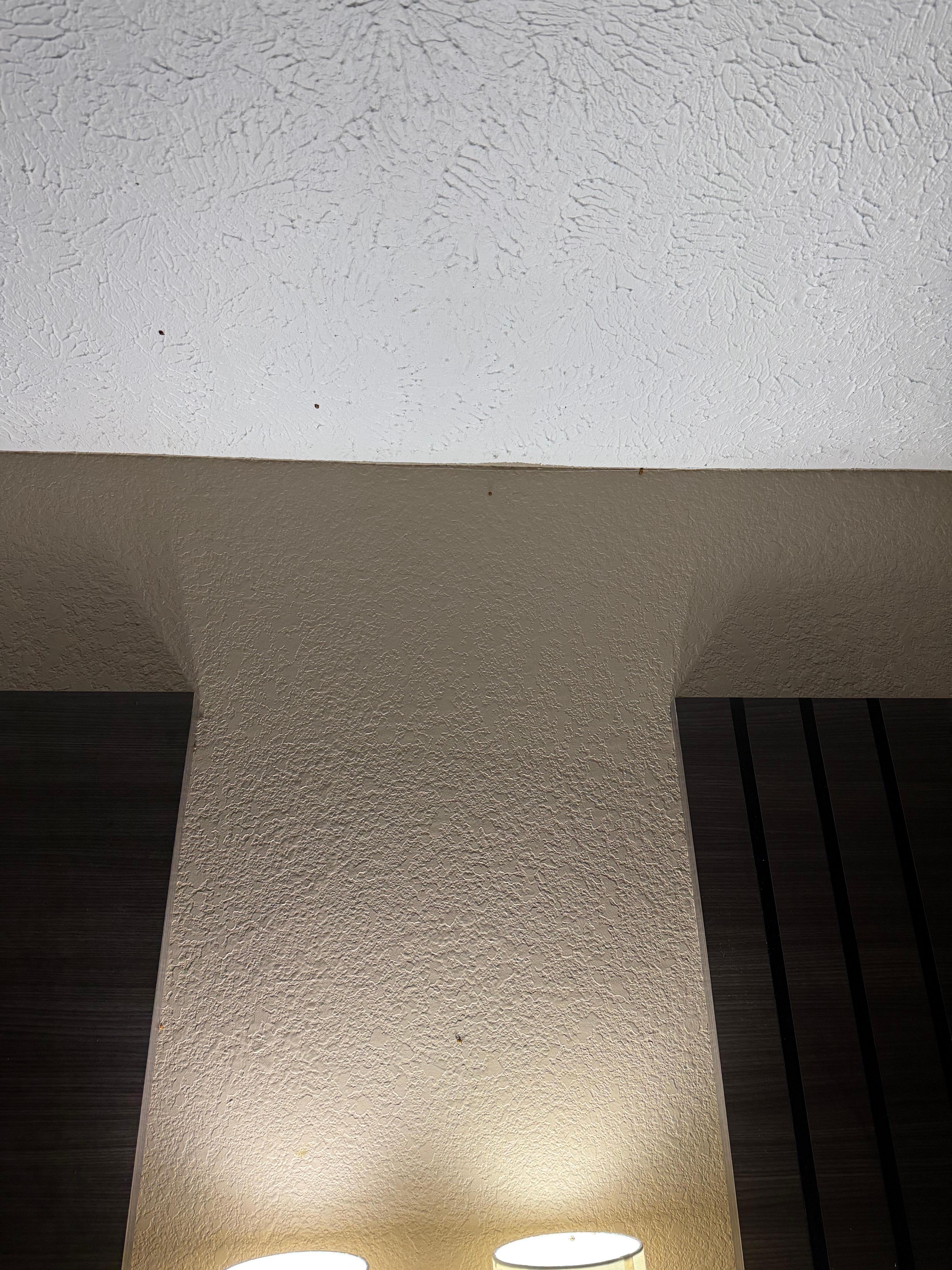 Multiple bugs on the wall.