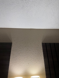 Multiple bugs on the wall.