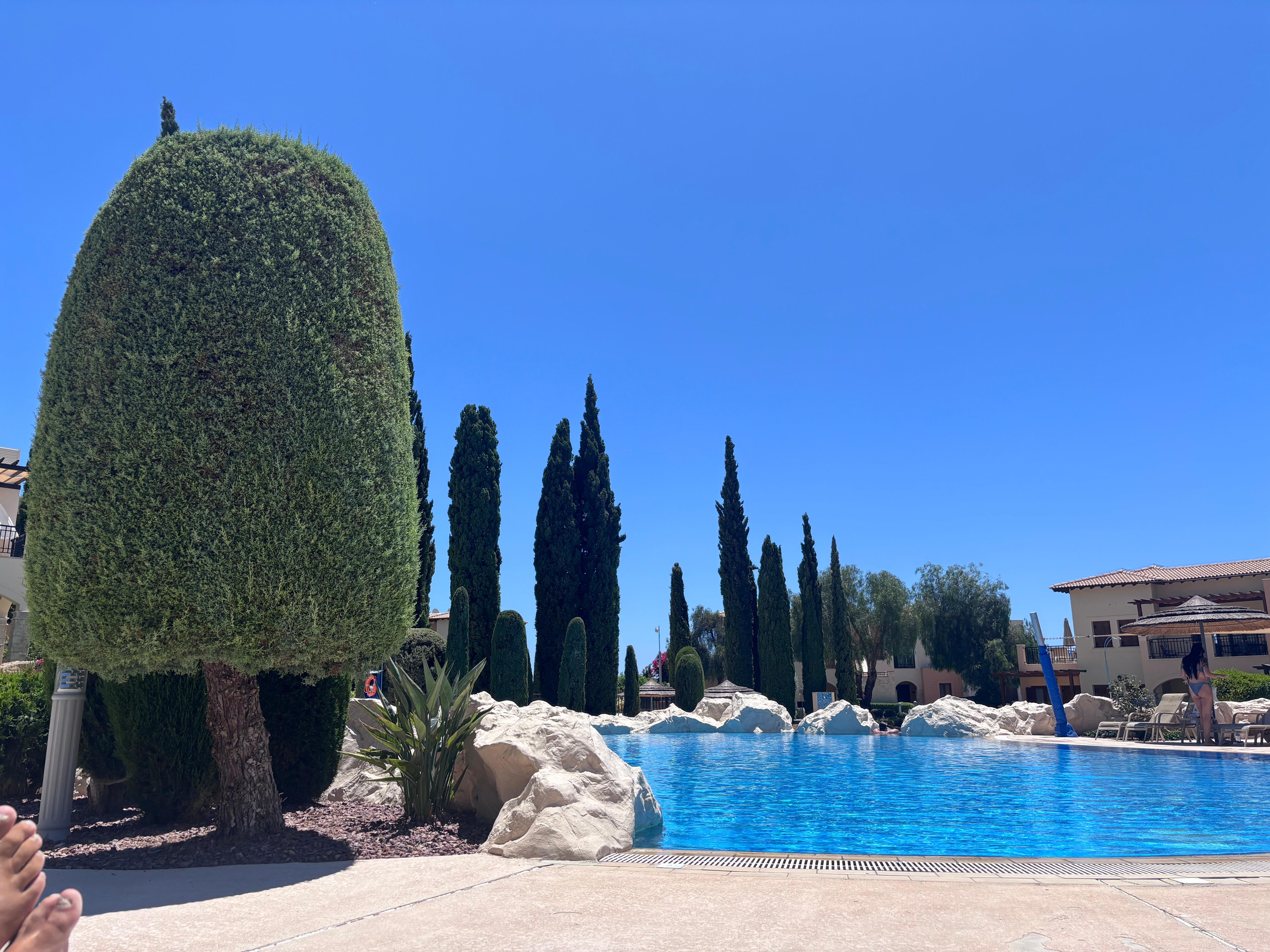 Pool view from my bed 