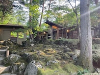 The garden.