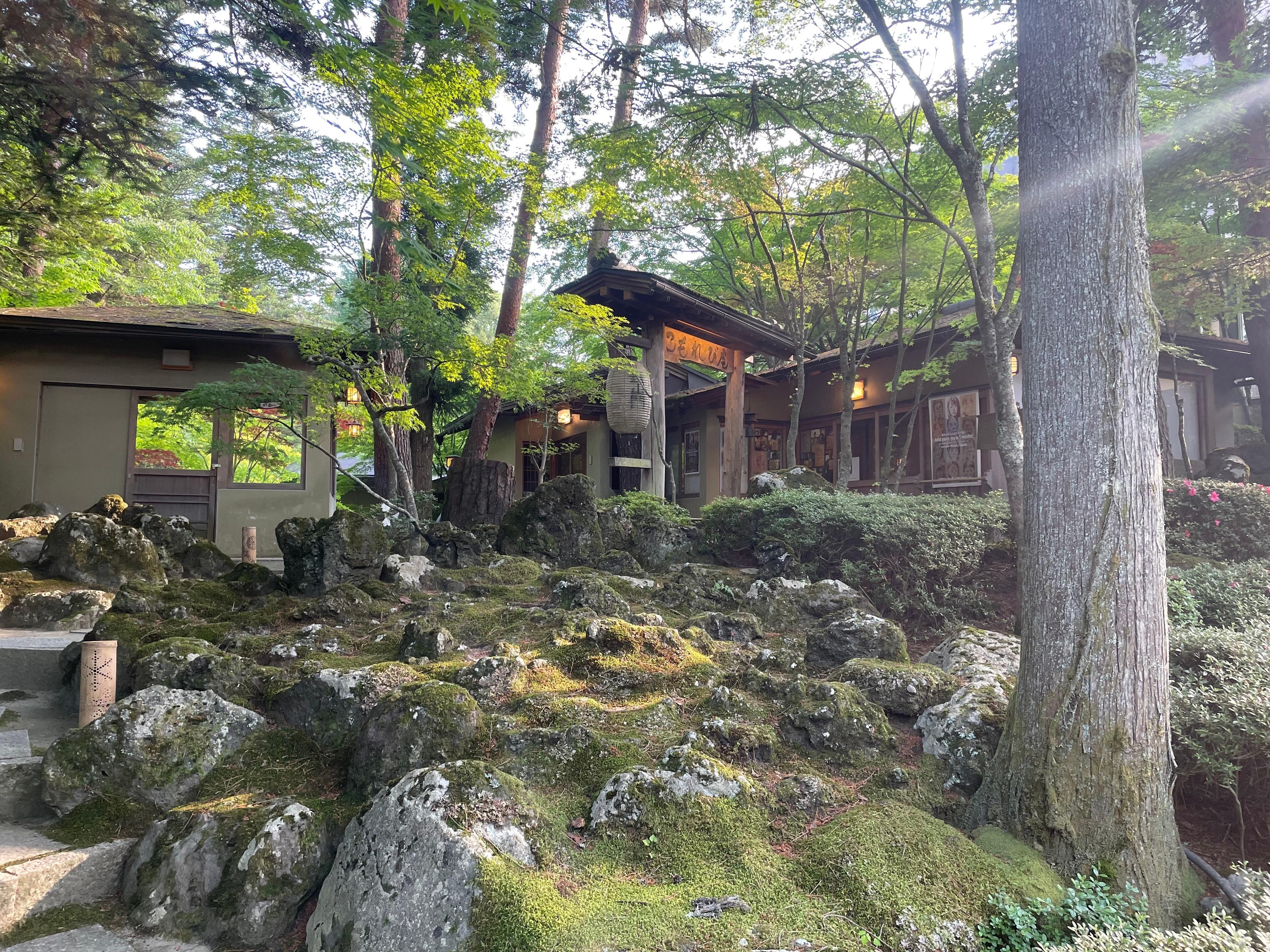 The garden.