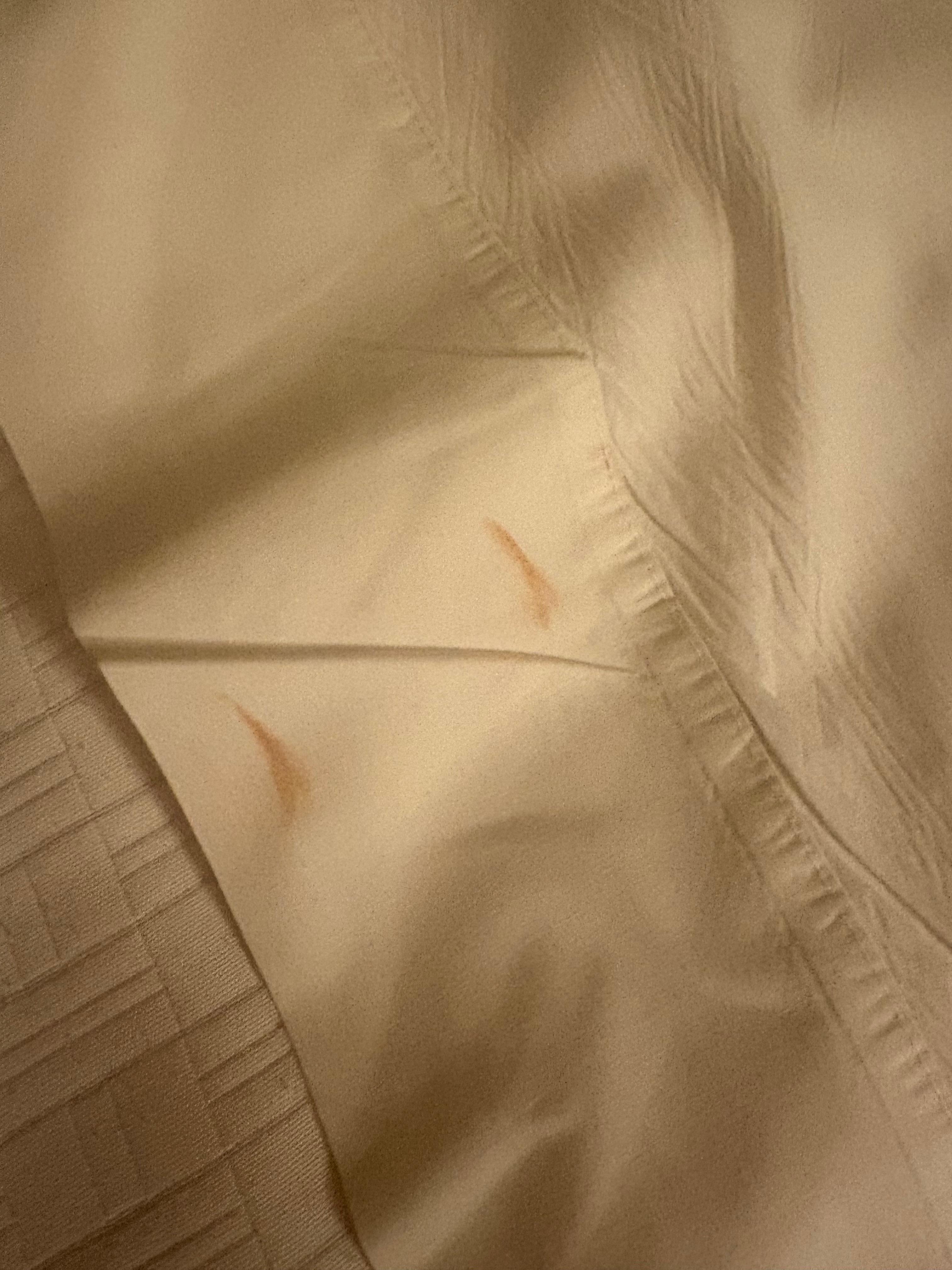 Red stains on the bed sheets. 