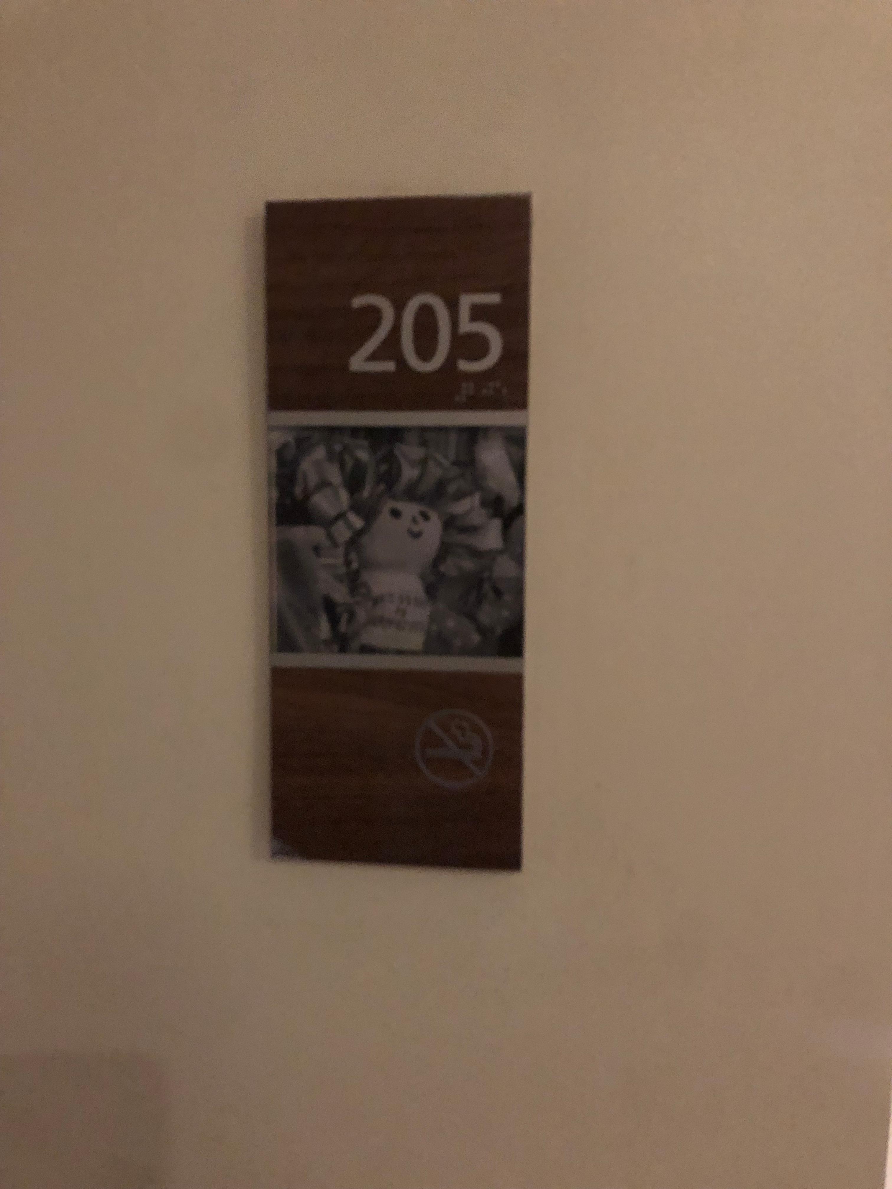 Número de habitación 205 con olor a humo de cigarrro y el mal olor de las heces fecales.