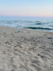 8 min drive to the beach