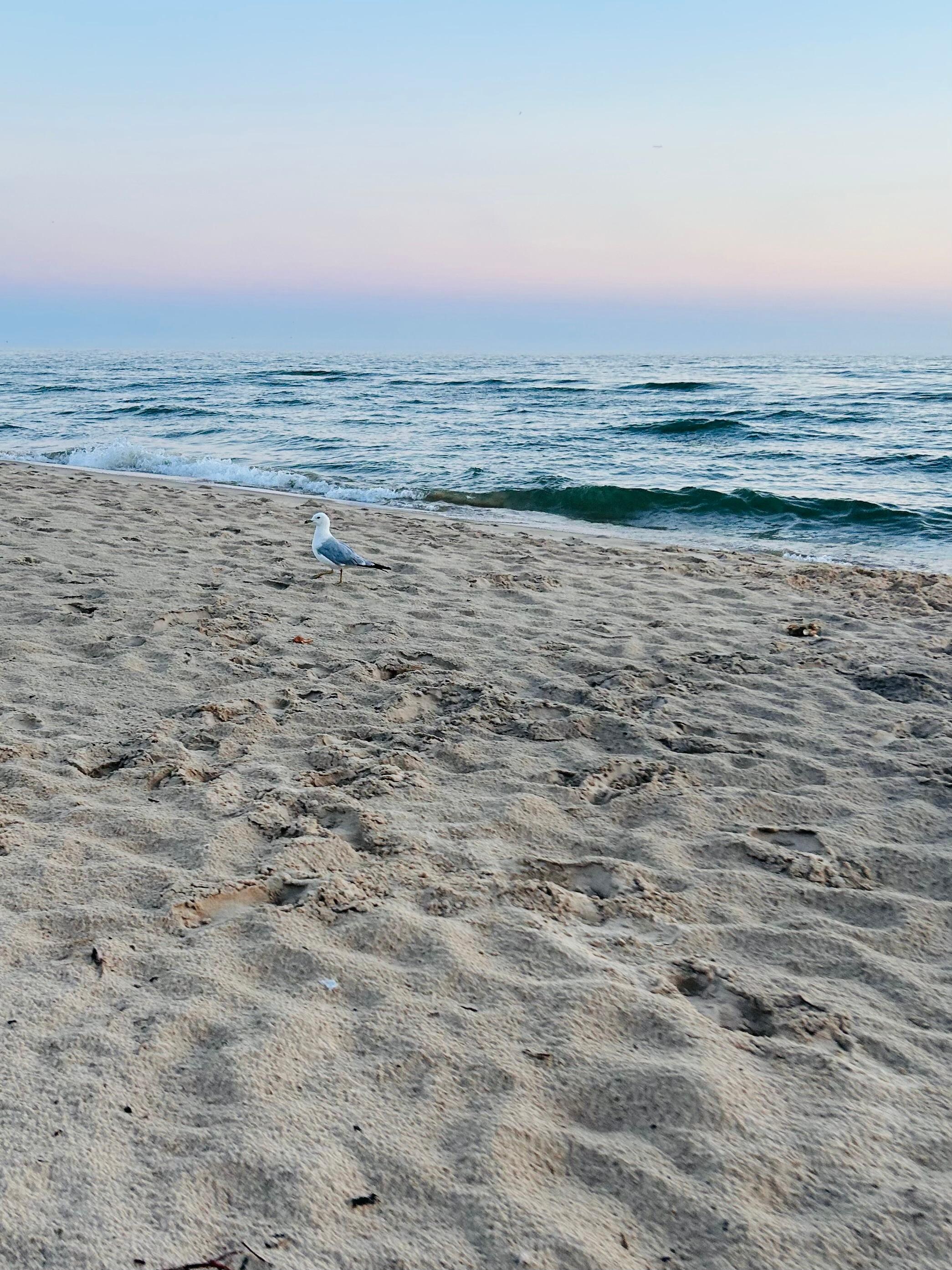8 min drive to the beach