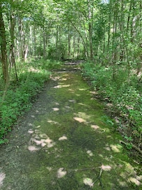 Nature trail through Warren dunes state park