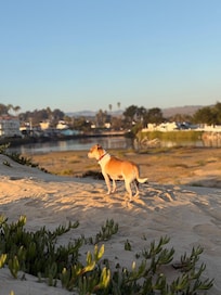 Beach outside our room