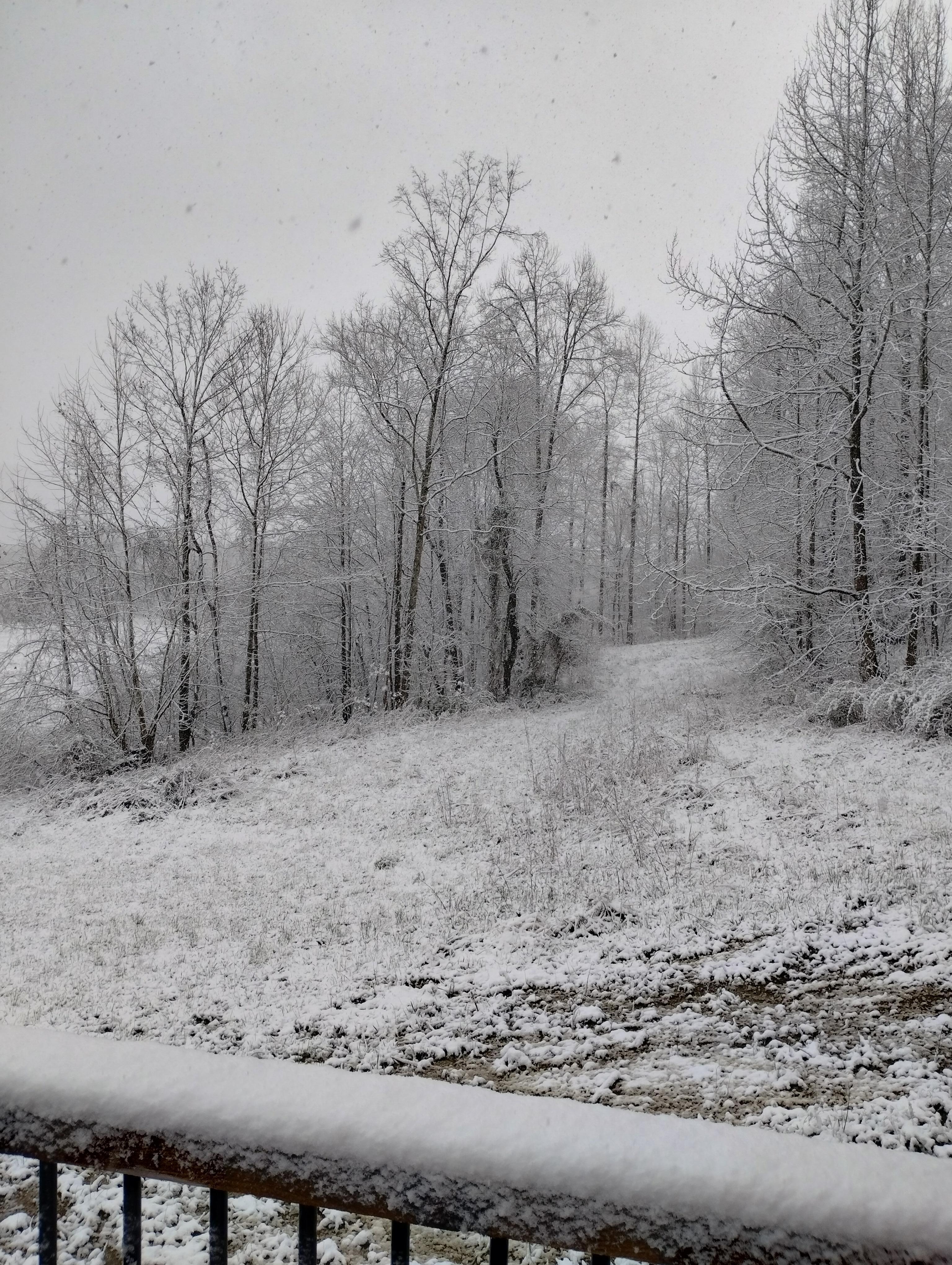 The snowy scenery was beautiful 😍