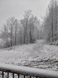 The snowy scenery was beautiful 😍