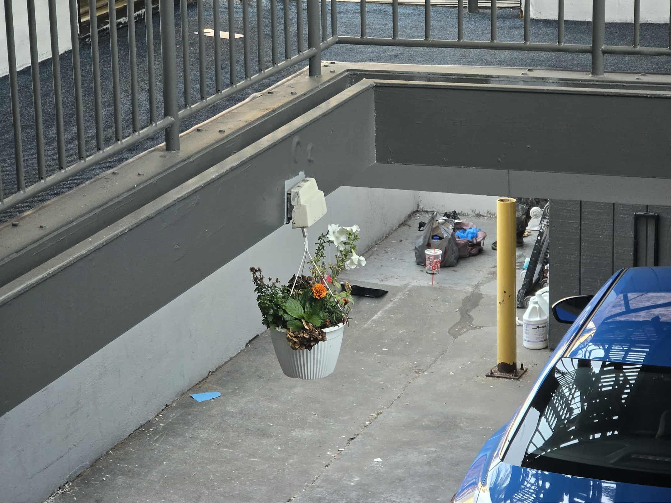 Person taking a c*** in the parking lot