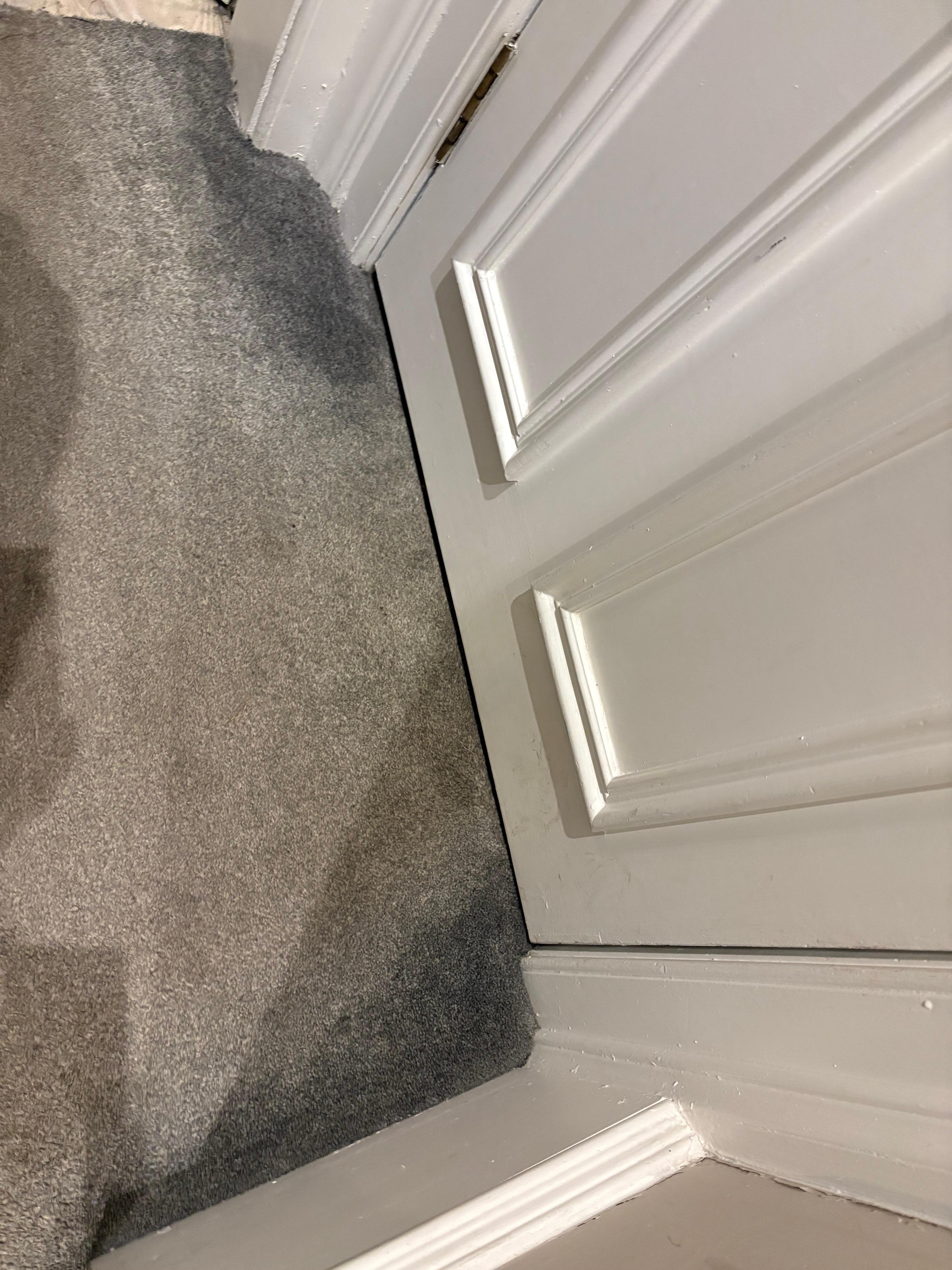 Stains on the carpets and on the area rug