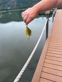 Catch and release right off the dock